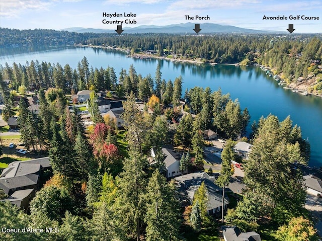 2918 E Point Hayden Dr, Hayden Lake, ID 83835 - drone / aerial view of a heavily wooded area and a nearby body of water