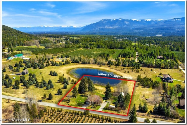 aerial view featuring a water and mountain view and a forest view