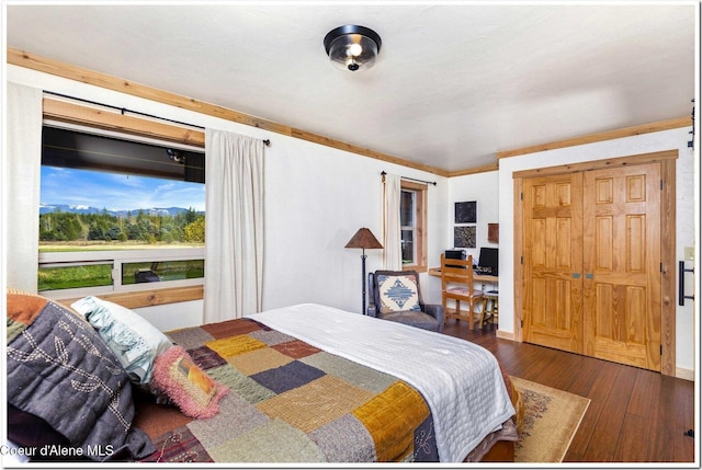 bedroom featuring wood-type flooring