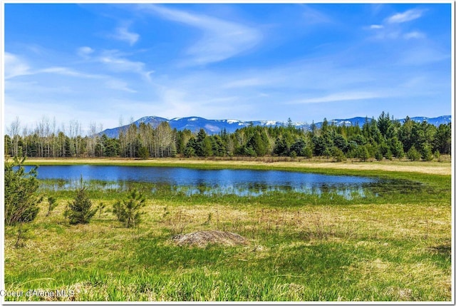 view of water feature with a mountain view and a forest view