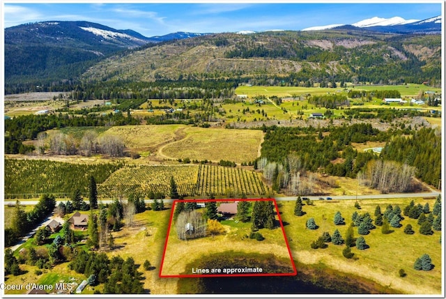 aerial view with a mountain view and a rural view