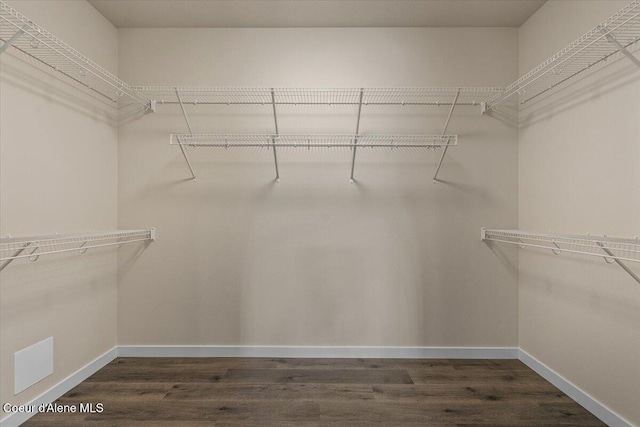 walk in closet featuring dark wood finished floors