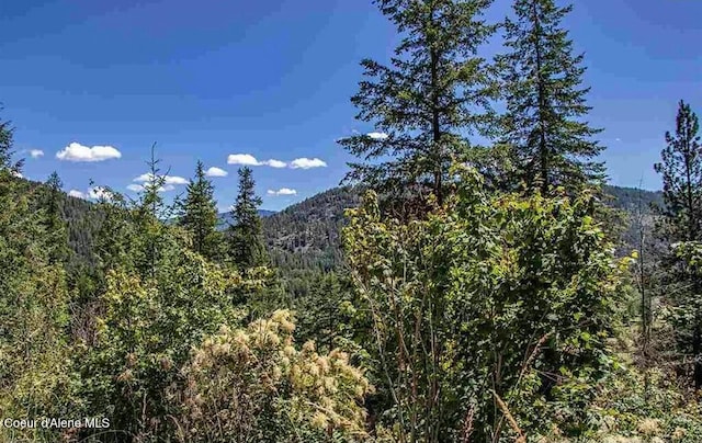 Listing photo 3 for NNA Lower Pack River Rd, Sandpoint ID 83864