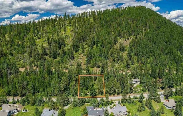 NNA Lower Pack River Rd, Sandpoint ID, 83864 land for sale