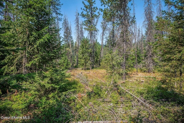 view of landscape with a forest view