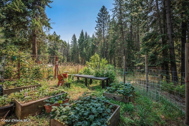 view of yard featuring a forest view, fence, and a garden