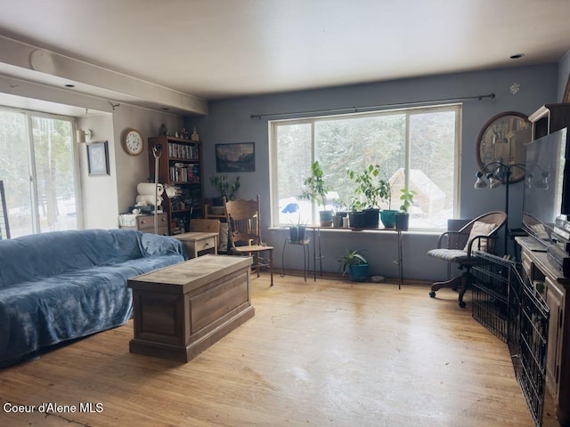 living room featuring wood finished floors