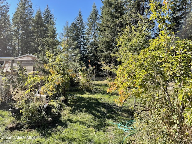 view of yard with a wooded view