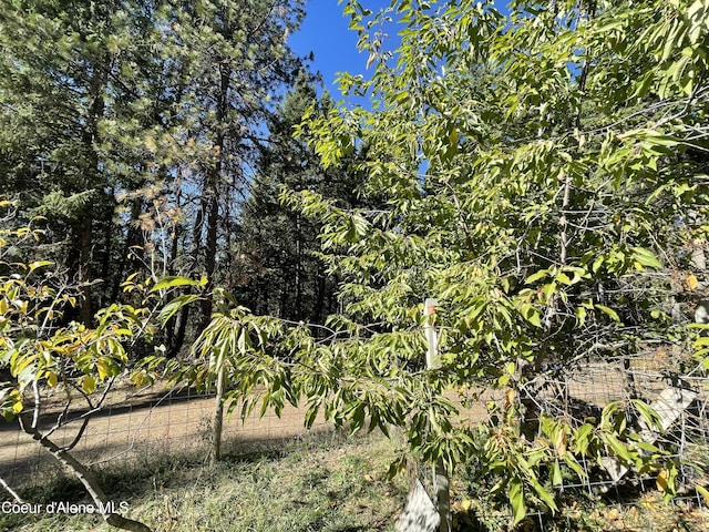 view of local wilderness