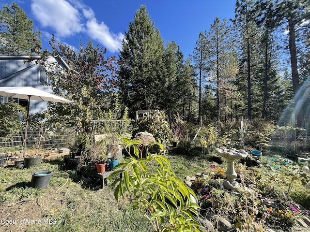 view of yard with a vegetable garden