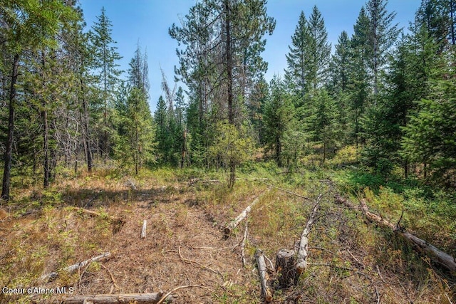 view of landscape featuring a wooded view