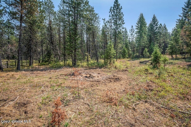 view of local wilderness with a wooded view