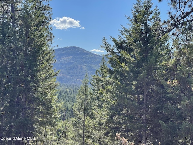 view of mountain feature featuring a forest view