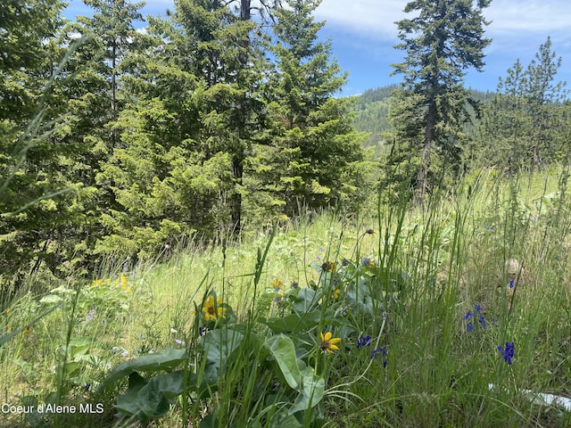 view of nature with a wooded view