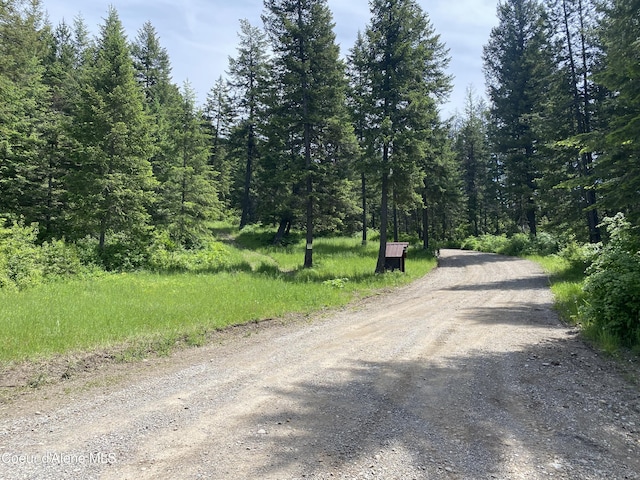 view of road with a forest view