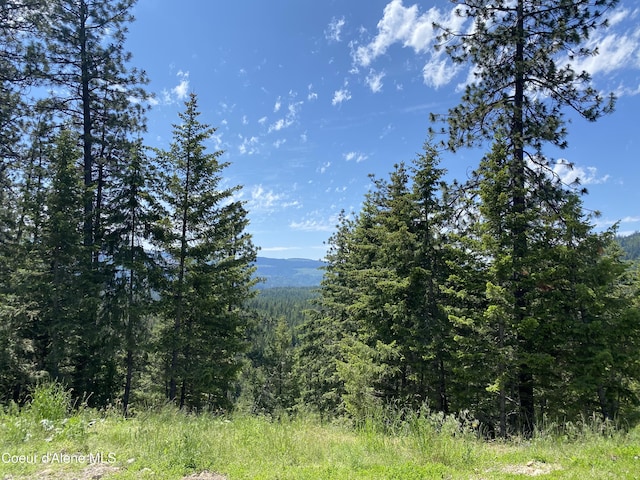 property view of mountains featuring a wooded view