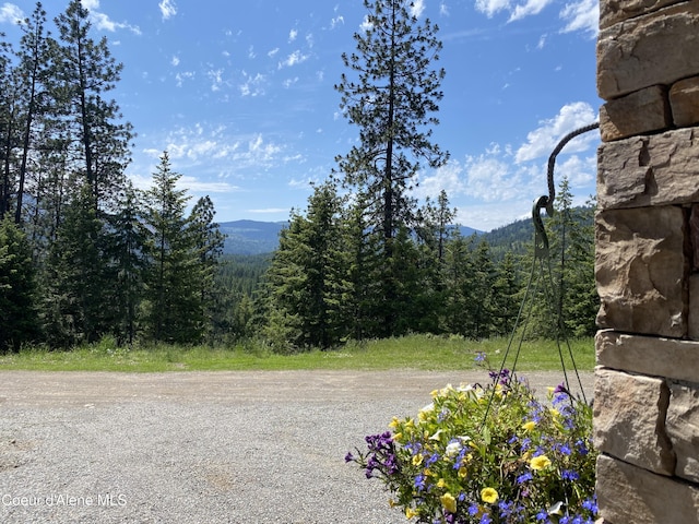 mountain view featuring a view of trees