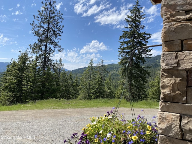 view of mountain feature featuring a forest view