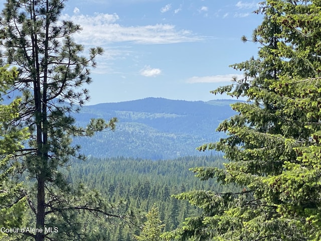 view of mountain feature featuring a view of trees