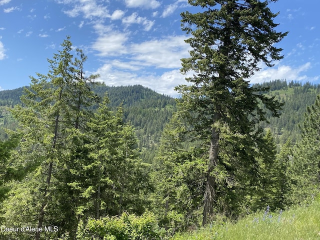 property view of mountains featuring a wooded view