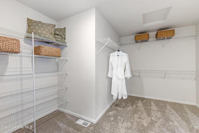 355 E Burdock Loop, Hayden, ID 83835 - spacious closet featuring attic access, carpet flooring, and visible vents
