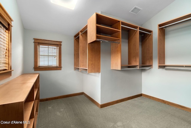 walk in closet featuring carpet flooring and visible vents