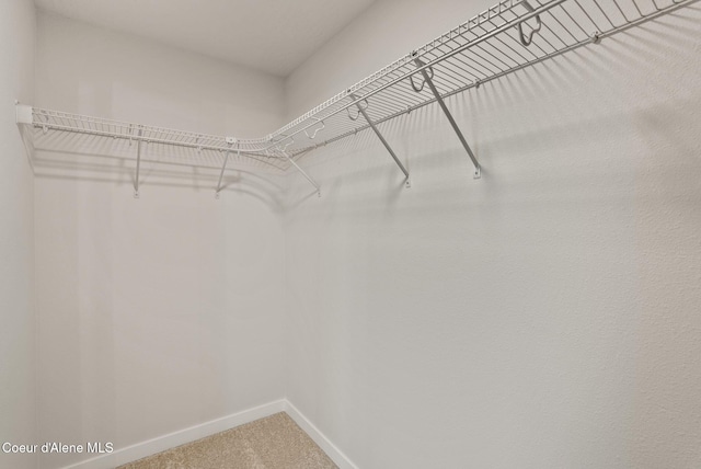 walk in closet with carpet