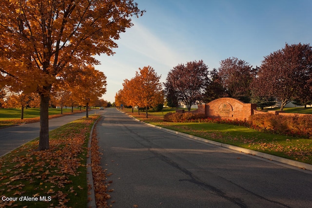 view of street featuring curbs