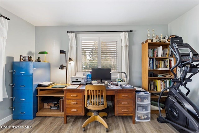 office featuring wood finished floors