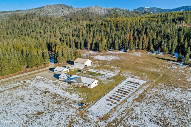 birds eye view of property featuring a mountain view and a view of trees