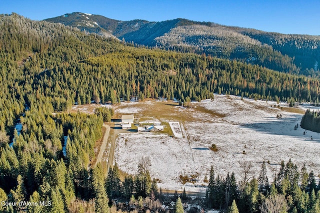 birds eye view of property with a mountain view and a wooded view