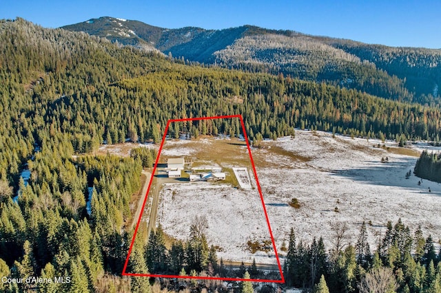 birds eye view of property with a forest view and a mountain view