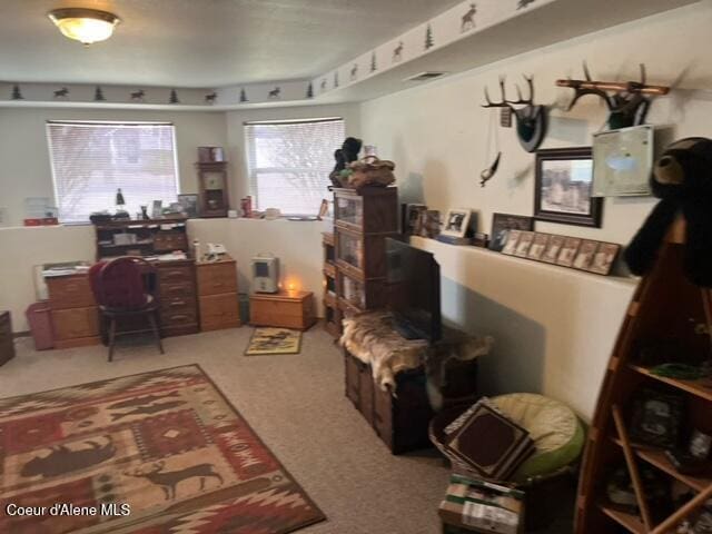 office space with visible vents and carpet floors