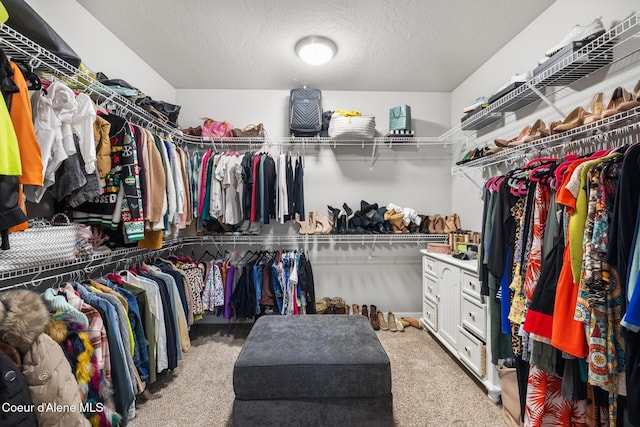 walk in closet featuring carpet floors