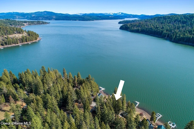 aerial view with a view of trees and a water and mountain view