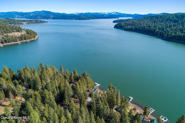 bird's eye view with a wooded view and a water and mountain view