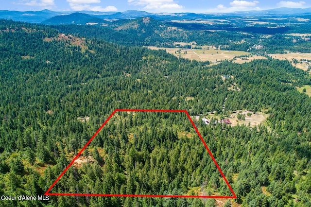 NNA E Rosewood Rd, Saint Maries, ID 83861 - photo 1