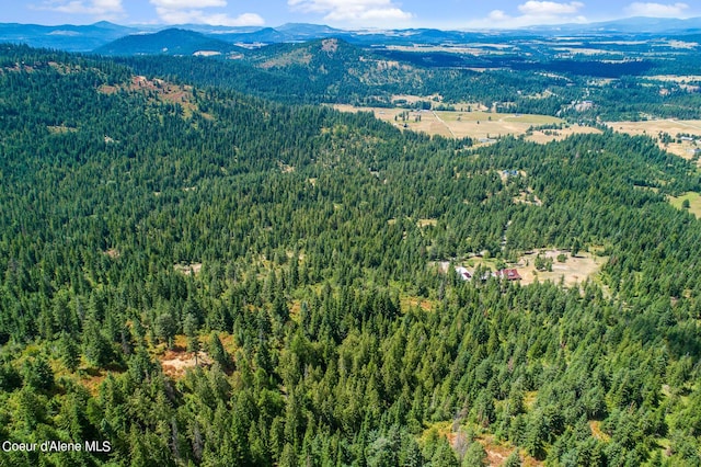 NNA E Rosewood Rd, Saint Maries, ID 83861 - photo 2