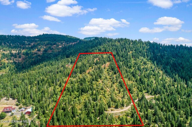 NNA E Rosewood Rd, Saint Maries, ID 83861 - photo 3