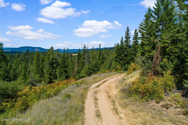 NNA E Rosewood Rd, Saint Maries, ID 83861 - photo 5