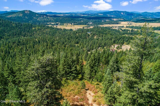 NNA E Rosewood Rd, Saint Maries, ID 83861 - photo 8