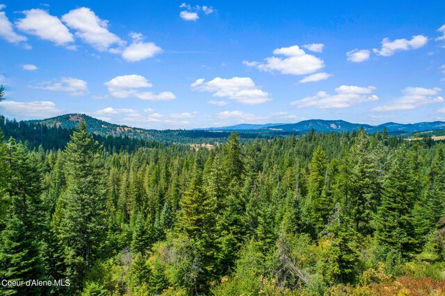 NNA E Rosewood Rd, Saint Maries, ID 83861 - photo 9