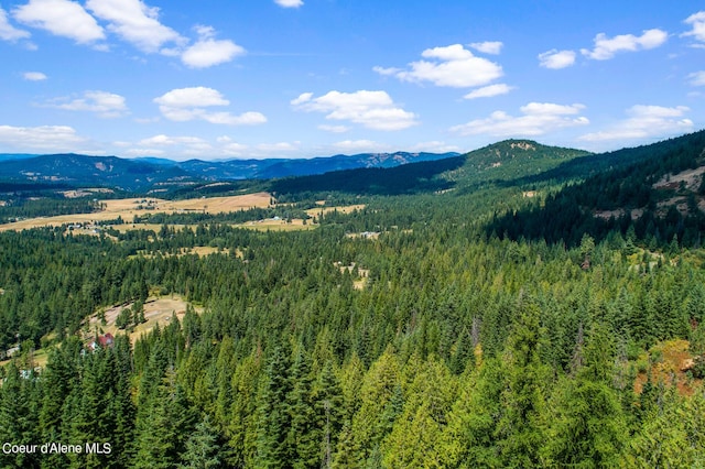 NNA E Rosewood Rd, Saint Maries, ID 83861 - photo 10