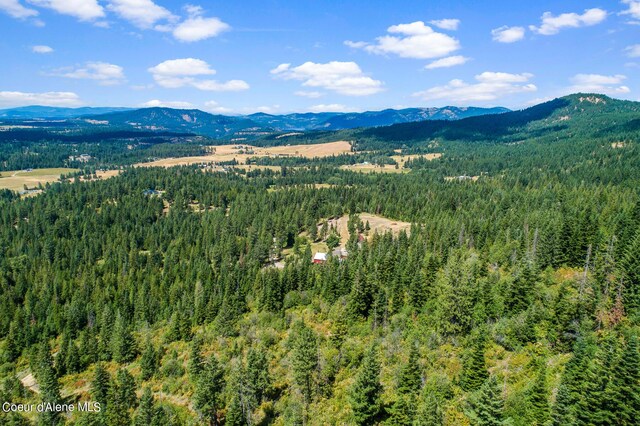 NNA E Rosewood Rd, Saint Maries, ID 83861 - photo 11