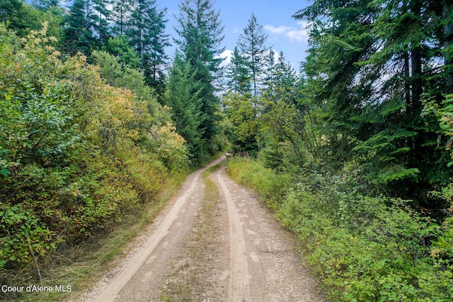 NNA E Rosewood Rd, Saint Maries, ID 83861 - photo 13