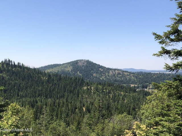 NNA E Rosewood Rd, Saint Maries, ID 83861 - photo 15