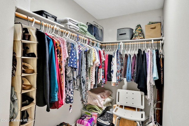 view of walk in closet