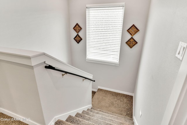 stairs with baseboards and carpet floors