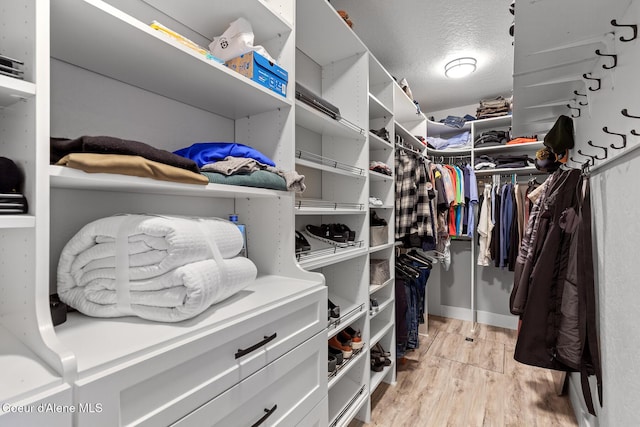 spacious closet featuring light wood-type flooring