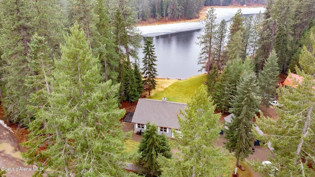 bird's eye view with a wooded view and a water view